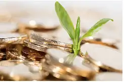 我国渔业生态焕新颜，碧波绿岸绘就生态新画卷