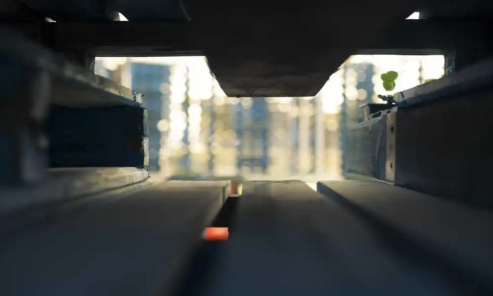 诗韵寻踪：第二季《探寻经典诗文足迹》上海启幕