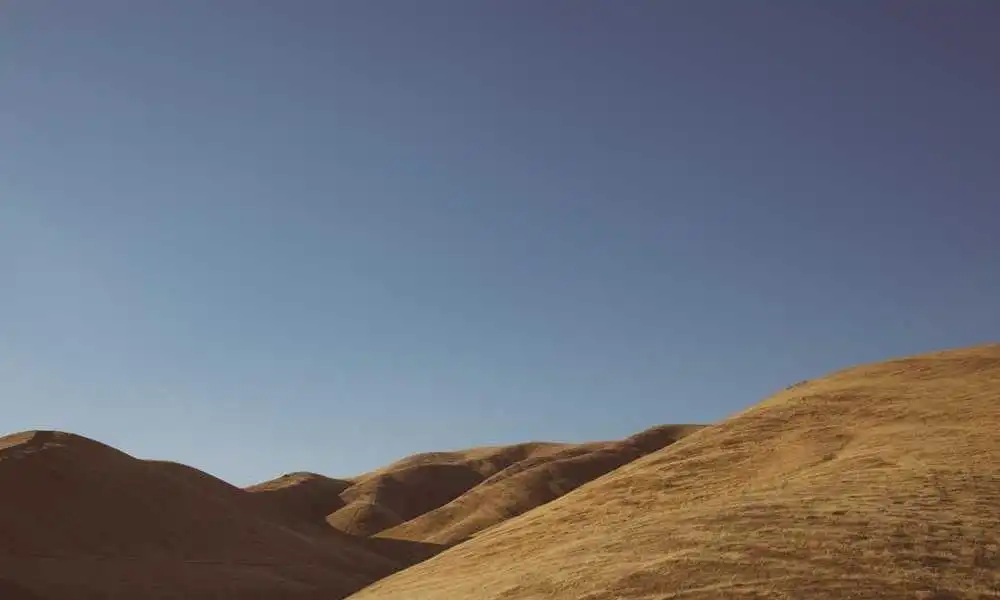 云南普洱：当茶香撞上咖啡香，阅读新场景引爆文化生活革命