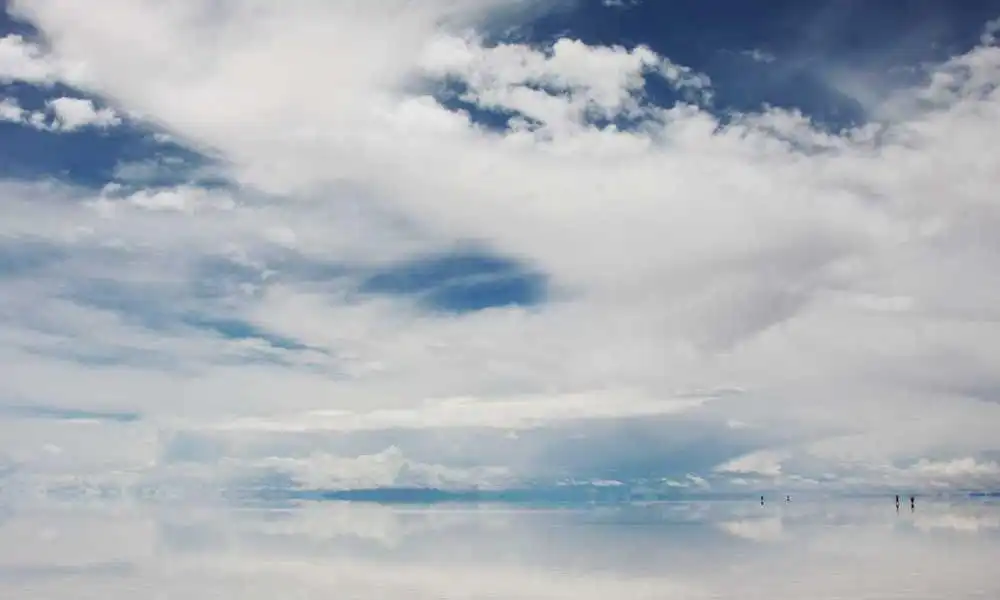 秀我中国｜麦家呼吁：为深阅读留一席心灵栖居地