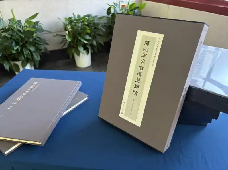 《解密汉简：随州周家寨新发现震撼学界——新书发布暨学术研讨会在京举行》