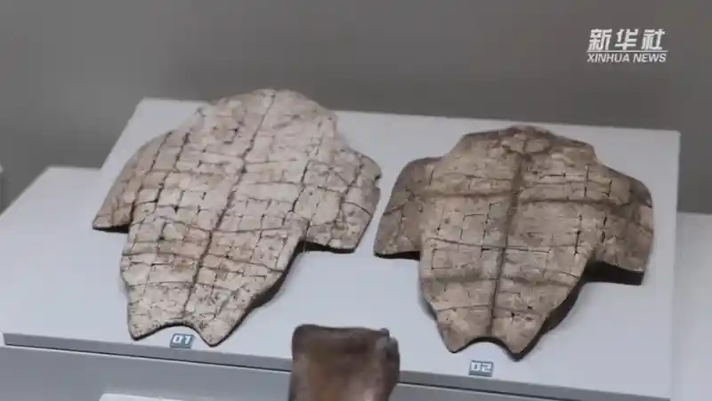 甲骨文探秘：港澳台青年穿越千年对话中华文明