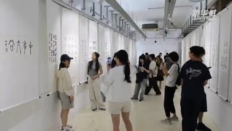 甲骨文探秘:港澳台青年穿越千年对话中华文明