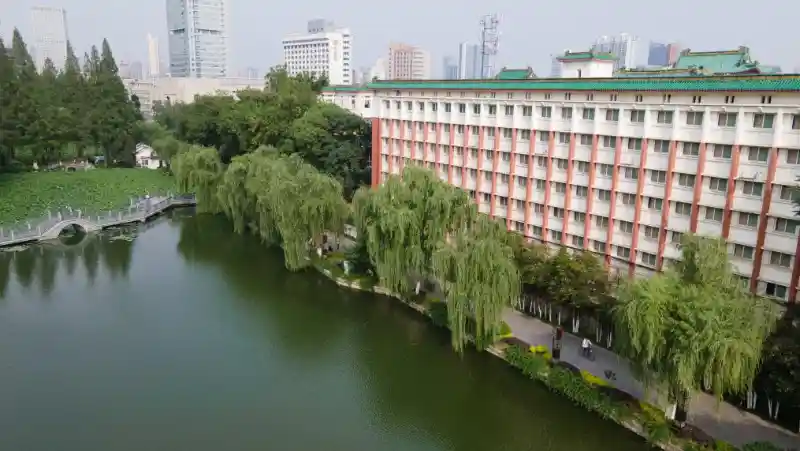 古籍守望者：百年图书馆里的时光守护人