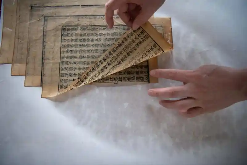 古籍守望者：百年图书馆里的时光守护人