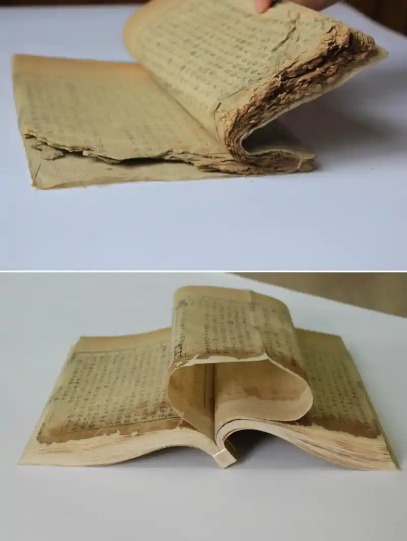 古籍守望者：百年图书馆里的时光守护人